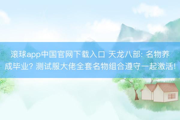 滚球app中国官网下载入口 天龙八部: 名物养成毕业? 测试服大佬全套名物组合遵守一起激活!