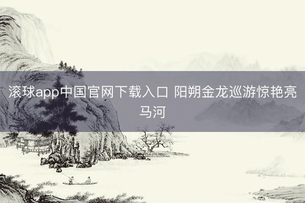 滚球app中国官网下载入口 阳朔金龙巡游惊艳亮马河