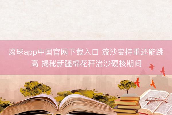 滚球app中国官网下载入口 流沙变持重还能跳高 揭秘新疆棉花秆治沙硬核期间