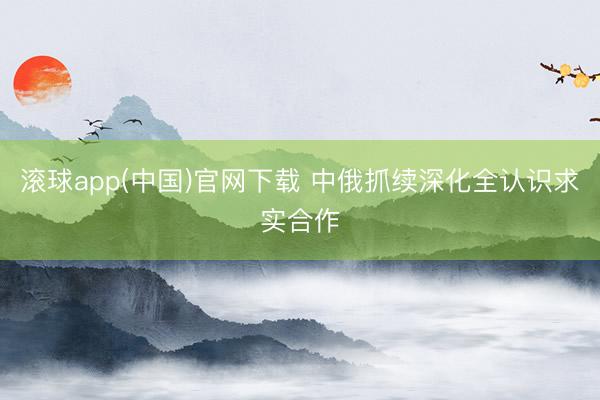 滚球app(中国)官网下载 中俄抓续深化全认识求实合作