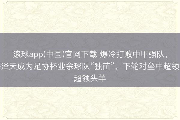 滚球app(中国)官网下载 爆冷打败中甲强队，上海泽天成为足协杯业余球队“独苗”，下轮对垒中超领头羊