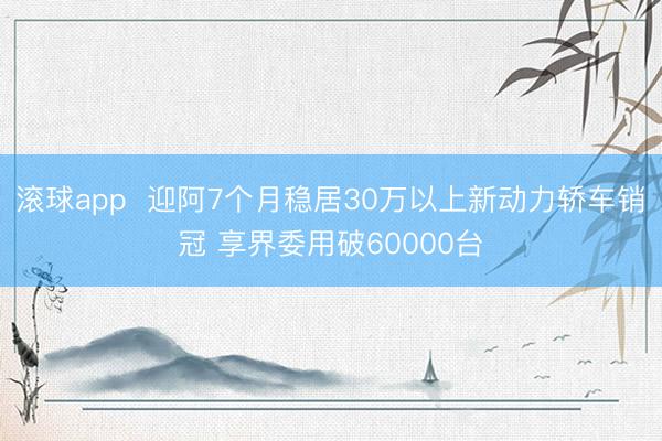 滚球app  迎阿7个月稳居30万以上新动力轿车销冠 享界委用破60000台