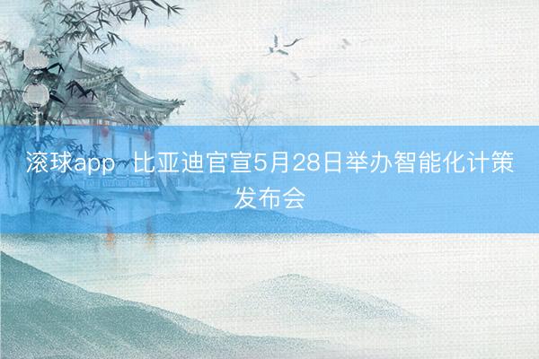 滚球app  比亚迪官宣5月28日举办智能化计策发布会
