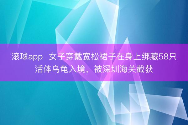 滚球app  女子穿戴宽松裙子在身上绑藏58只活体乌龟入境，被深圳海关截获