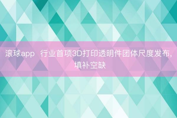 滚球app  行业首项3D打印透明件团体尺度发布， 填补空缺
