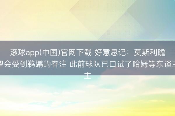 滚球app(中国)官网下载 好意思记：莫斯利瞻望会受到鹈鹕的眷注 此前球队已口试了哈姆等东谈主
