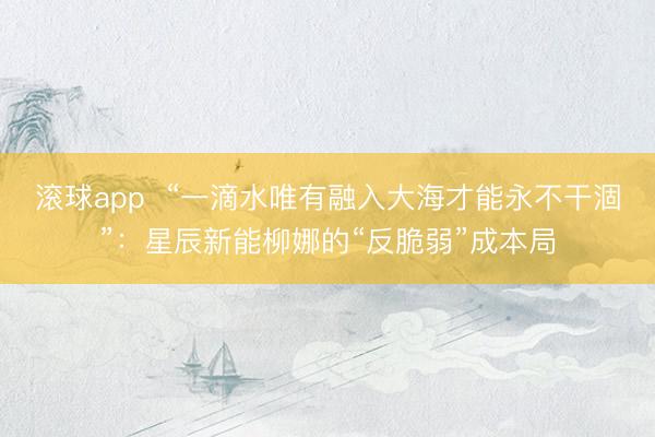 滚球app  “一滴水唯有融入大海才能永不干涸”：星辰新能柳娜的“反脆弱”成本局