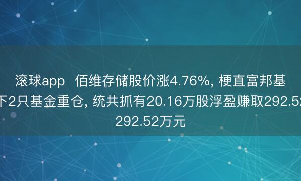 滚球app  佰维存储股价涨4.76%， 梗直富邦基金旗下2只基金重仓， 统共抓有20.16万股浮盈赚取292.52万元