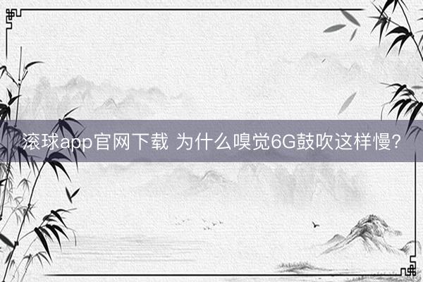 滚球app官网下载 为什么嗅觉6G鼓吹这样慢?