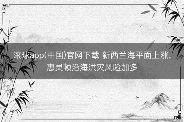 滚球app(中国)官网下载 新西兰海平面上涨，惠灵顿沿海洪灾风险加多