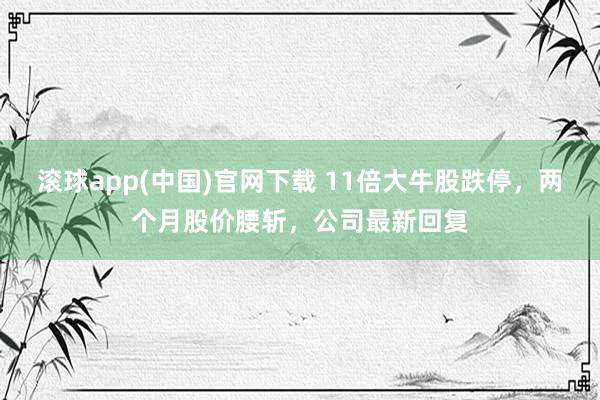 滚球app(中国)官网下载 11倍大牛股跌停，两个月股价腰斩，公司最新回复