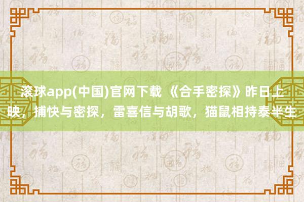 滚球app(中国)官网下载 《合手密探》昨日上映,捕快与密探,雷喜信与胡歌,猫鼠相持泰半生